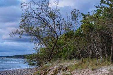希腊女篮在欧洲锦标赛中力争金牌，续写辉煌传统，希腊女篮直播