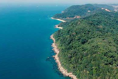 希腊女篮在欧洲锦标赛中力争金牌，续写辉煌传统，希腊女篮直播